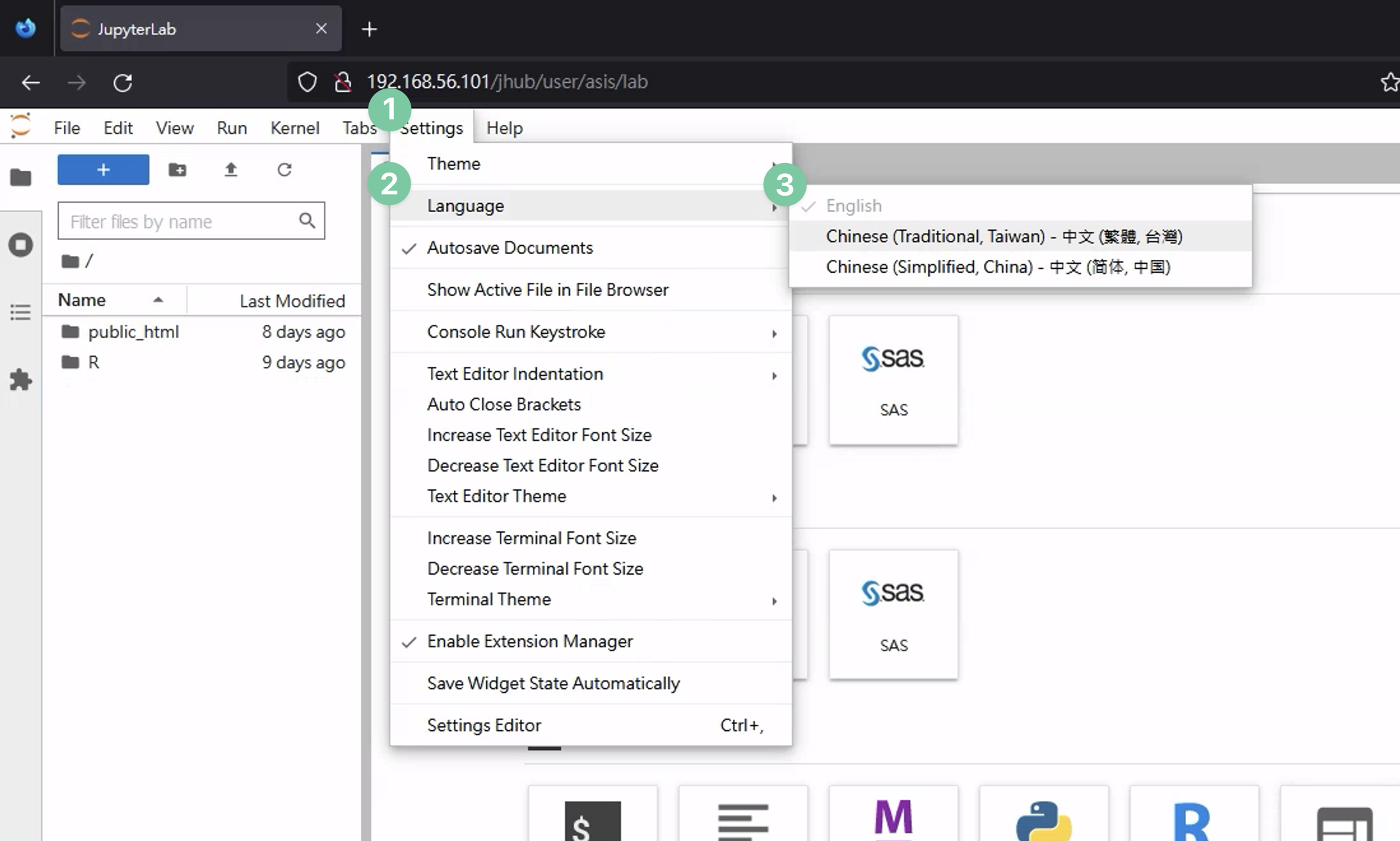 jupyterhub 登入後的頁面